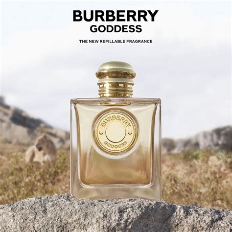 burberry giddes|burberry goddess for men.